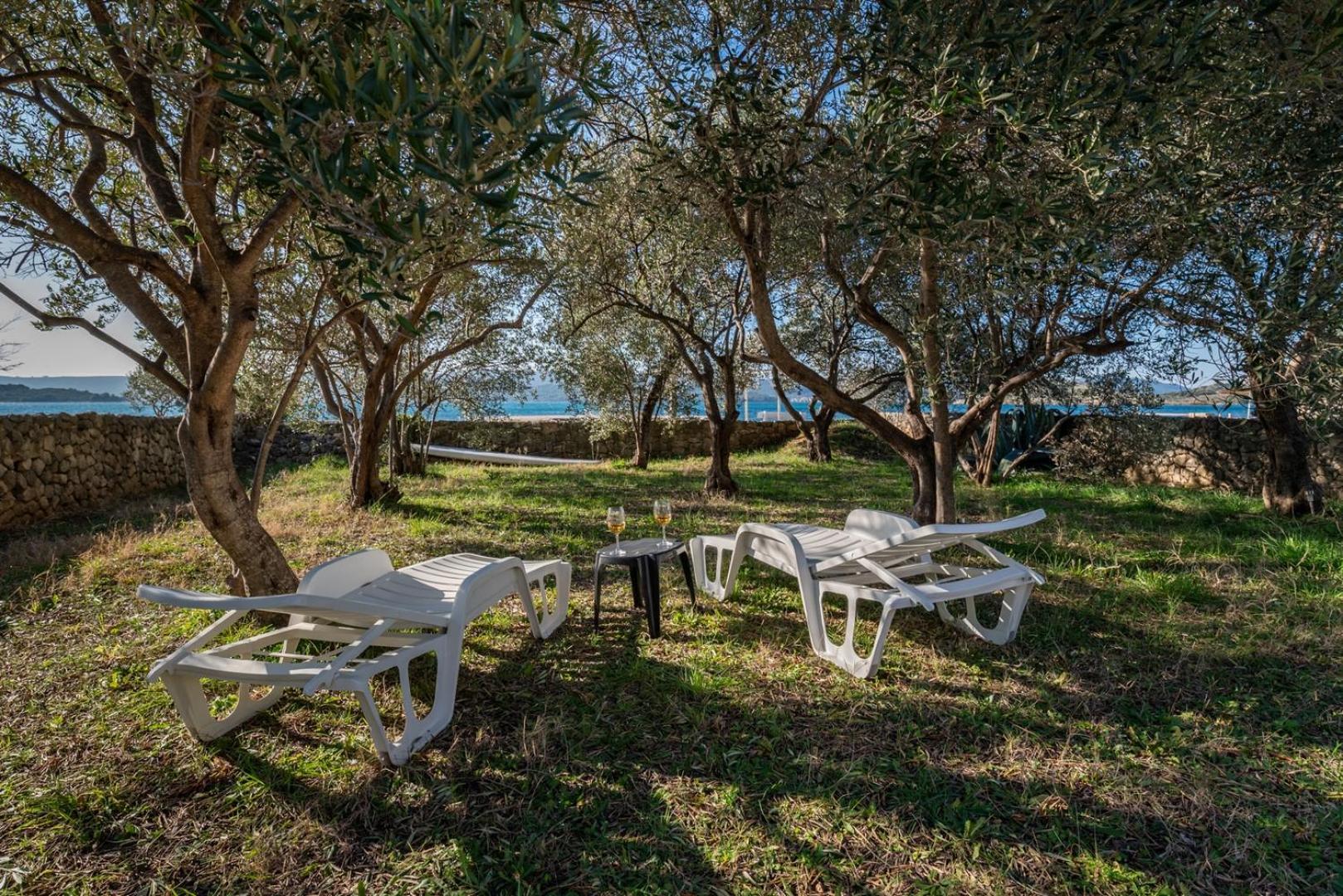 Beachfront Apartment Lostura Turanj Dış mekan fotoğraf